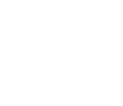 VT